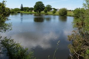 location vacance a coté etang