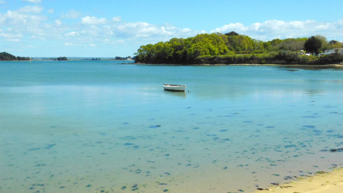 iles morbihan proche domaine de la héchaie