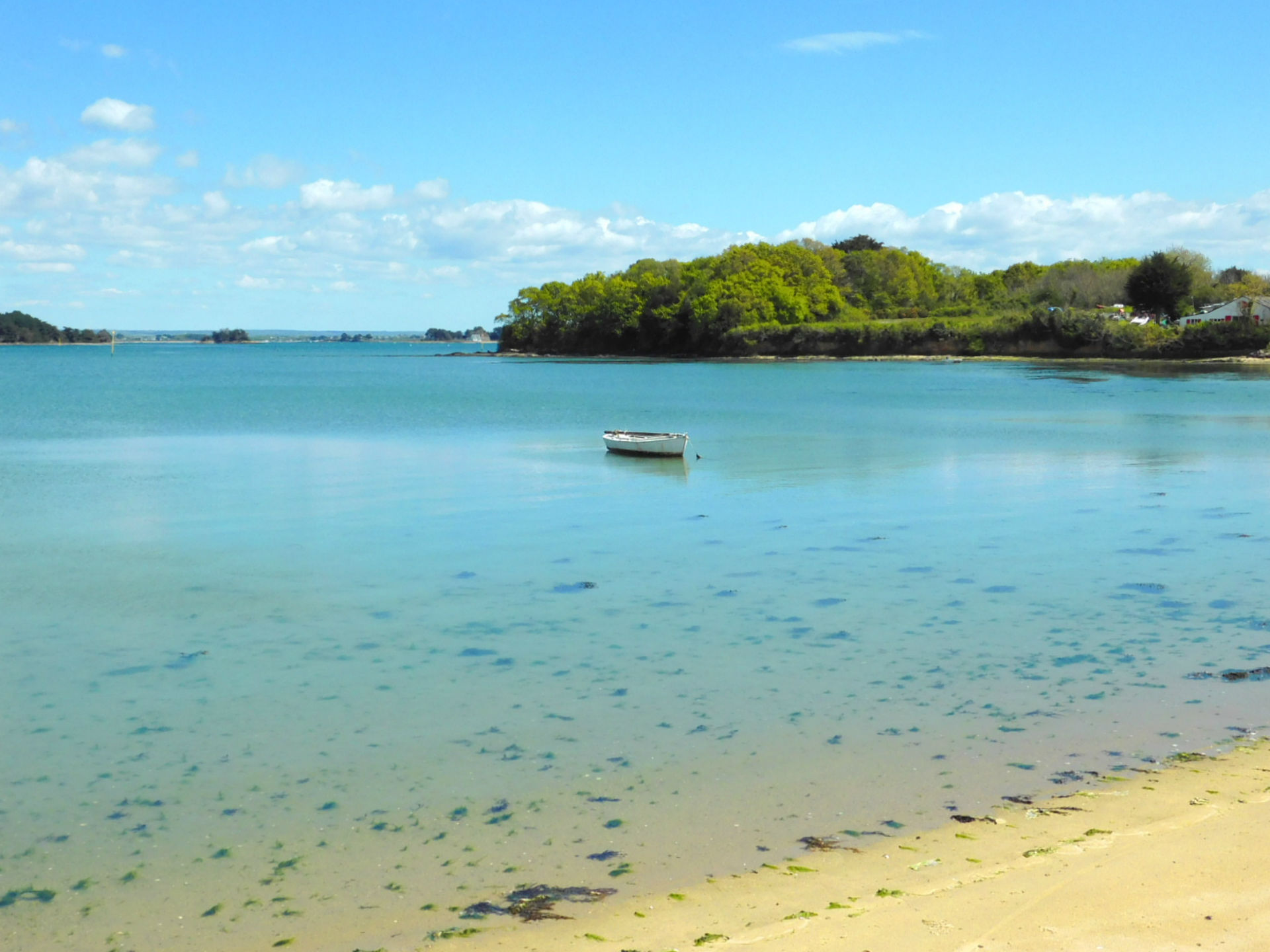 iles morbihan proche domaine de la héchaie