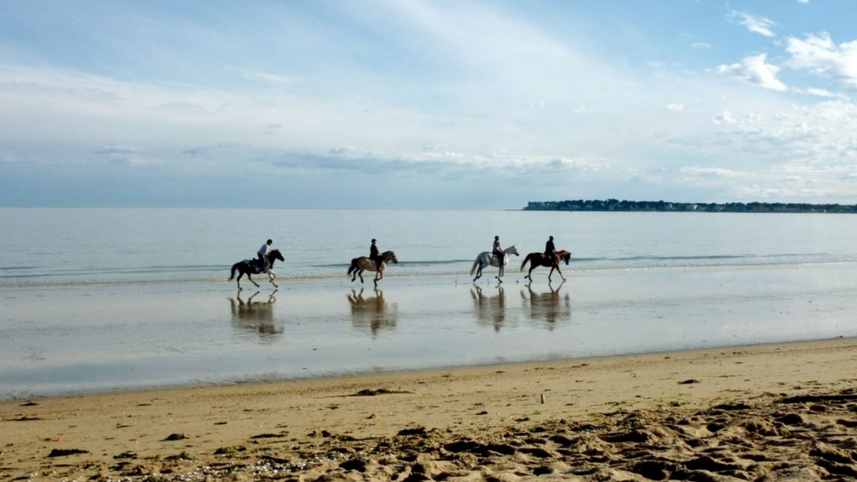 la baule proche domaine de la héchaie