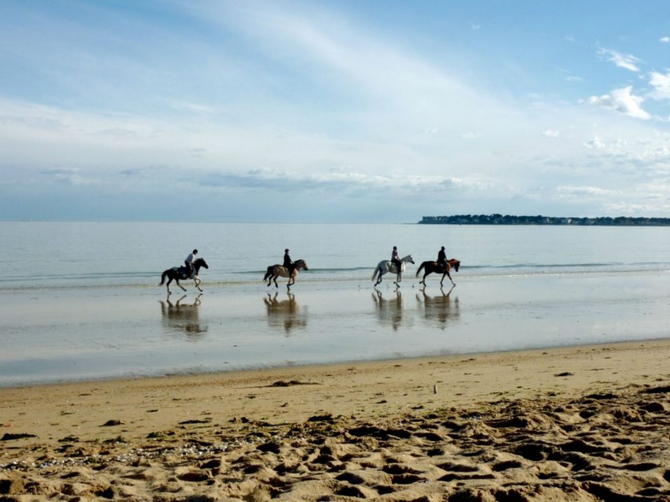 la baule proche domaine de la héchaie